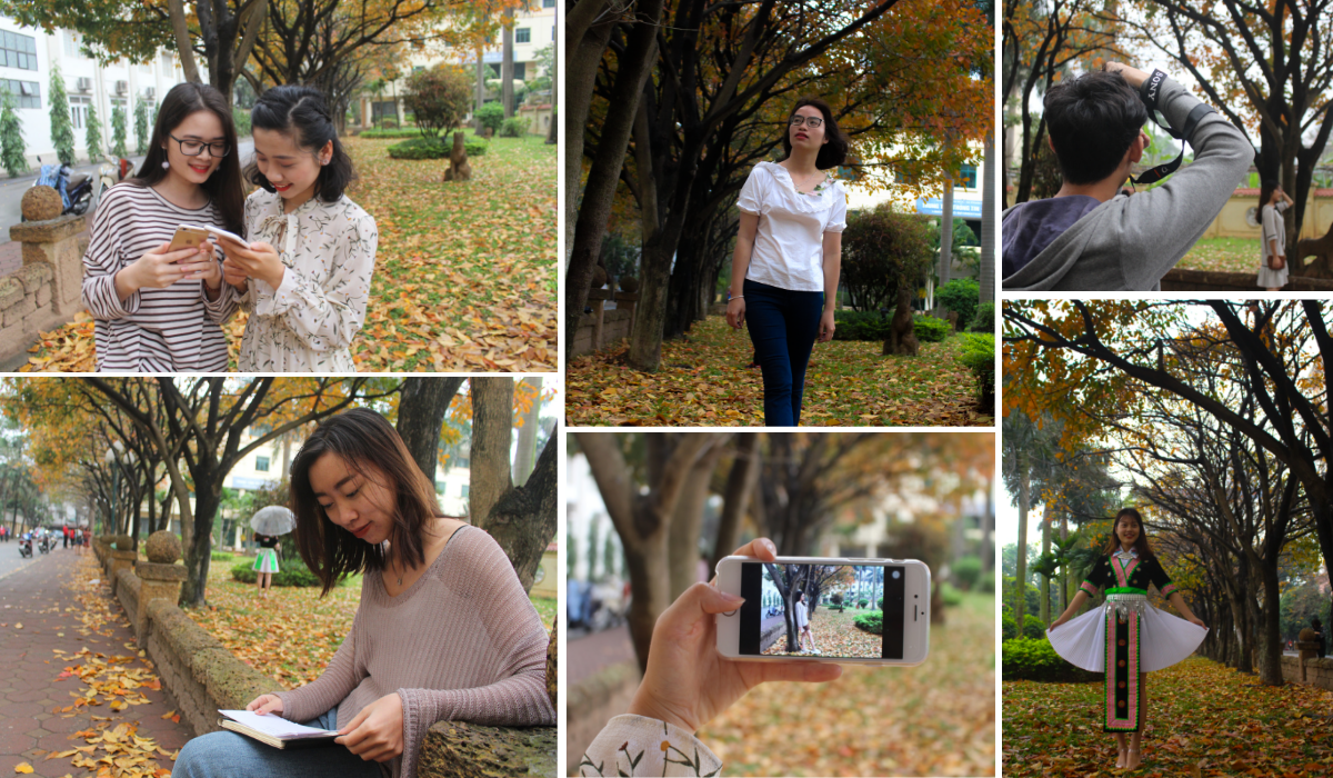 Giới trẻ nô nức check-in con đường lá vàng khuôn viên ĐH Sư Phạm